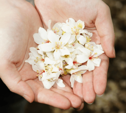 Screen Shot 2018-04-21 at 4.00.03 PM.png